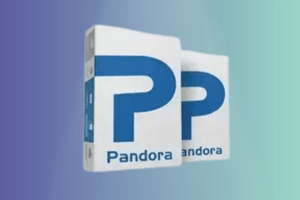 Pandora Tool Rent (48 Hour)